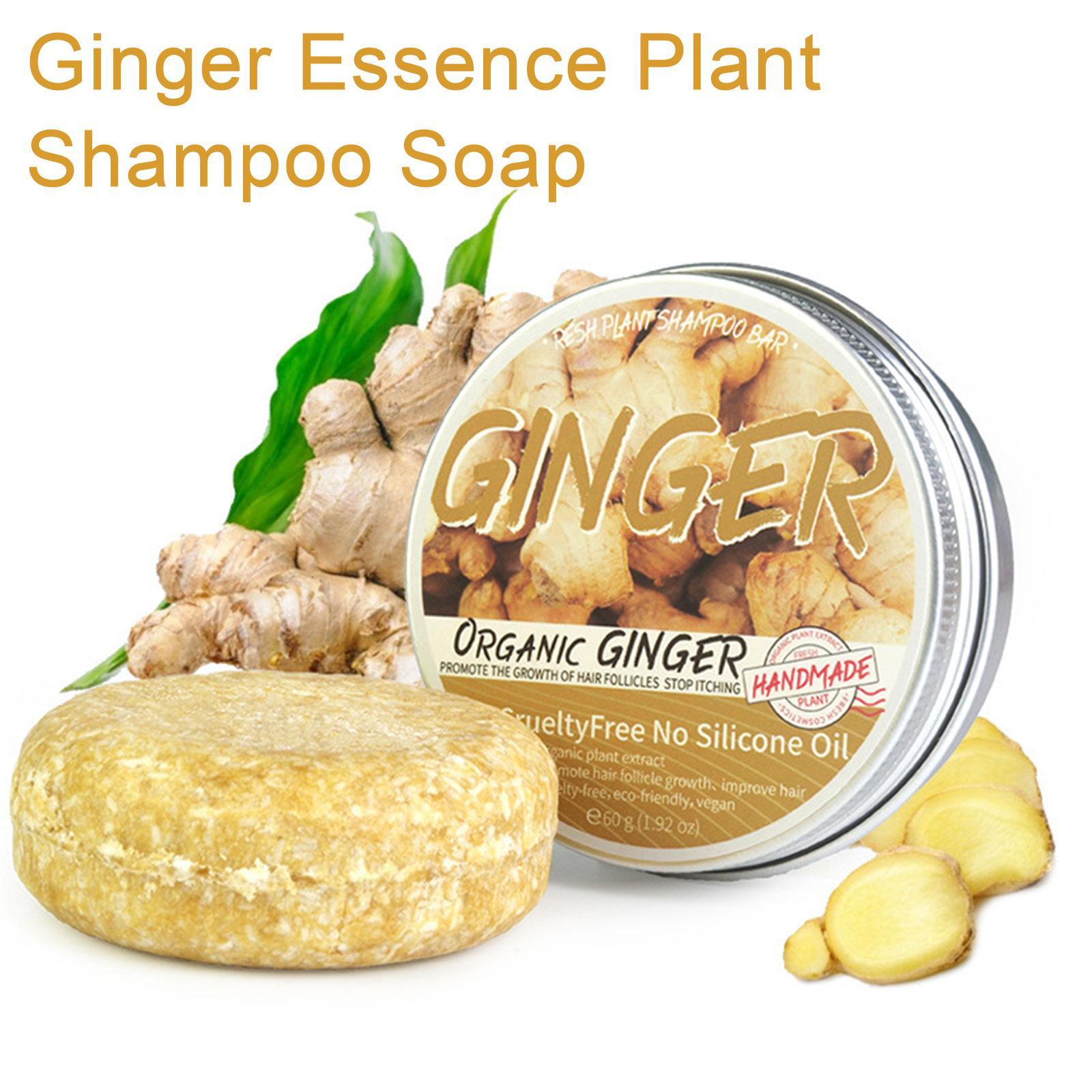 Hair Care Pantene - Jabón de Polygonum de jengibre, champú